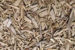 biomass boilers Bagpath